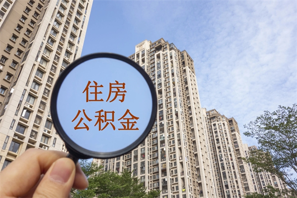 公积金存在账户里的利率-湛江公积金代办平台